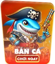66B cược trực tuyến
